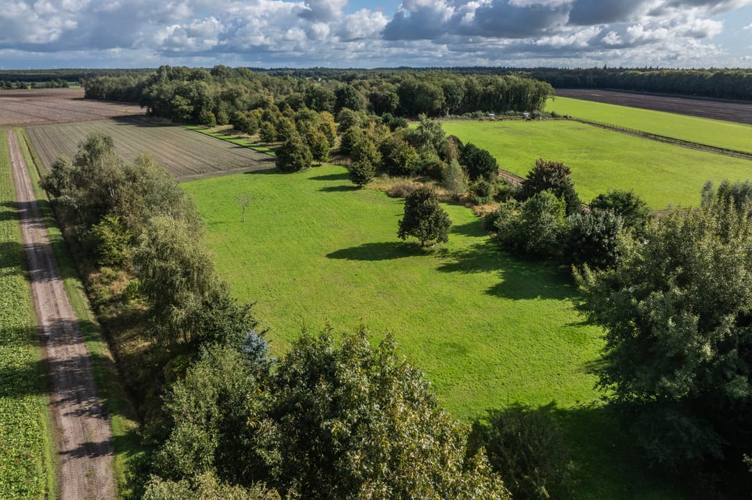 Foto 103 van Papenvoort 7