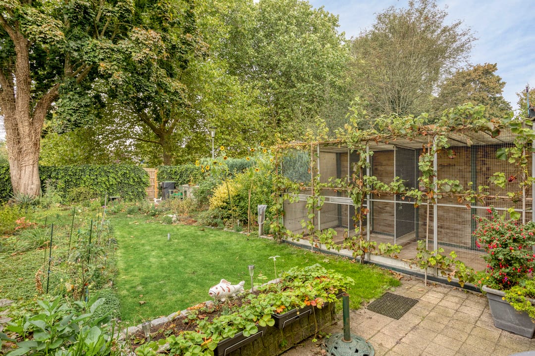 Foto 11 van Tjamme 26