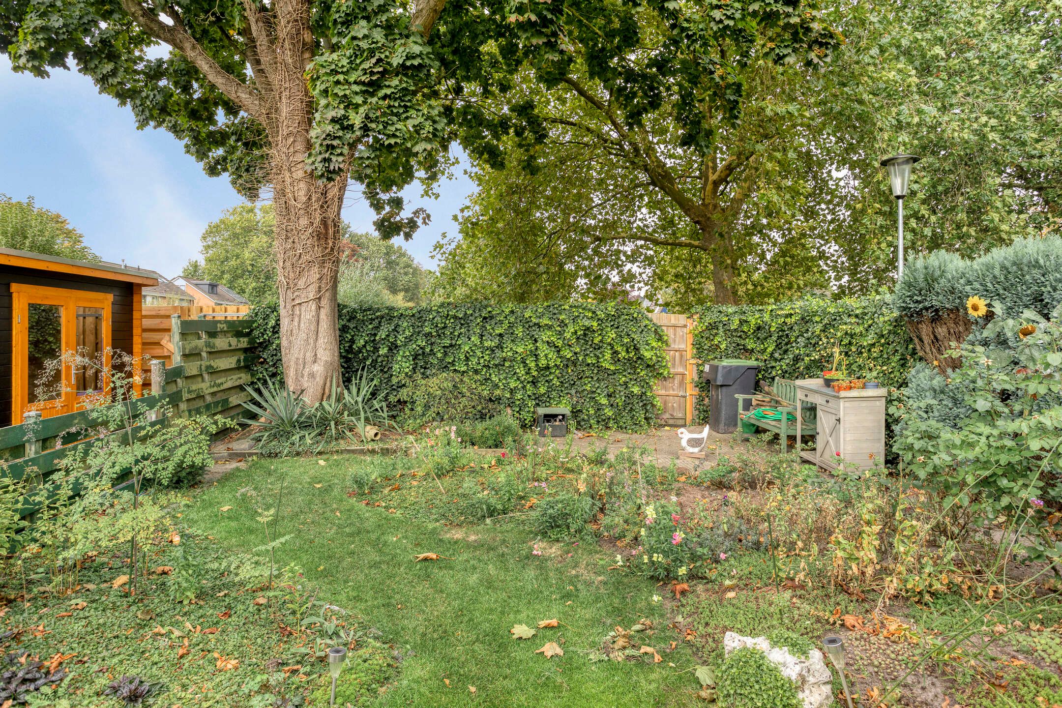 Foto 12 van Tjamme 26