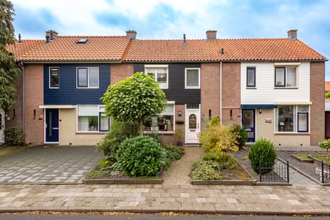 undefined main image