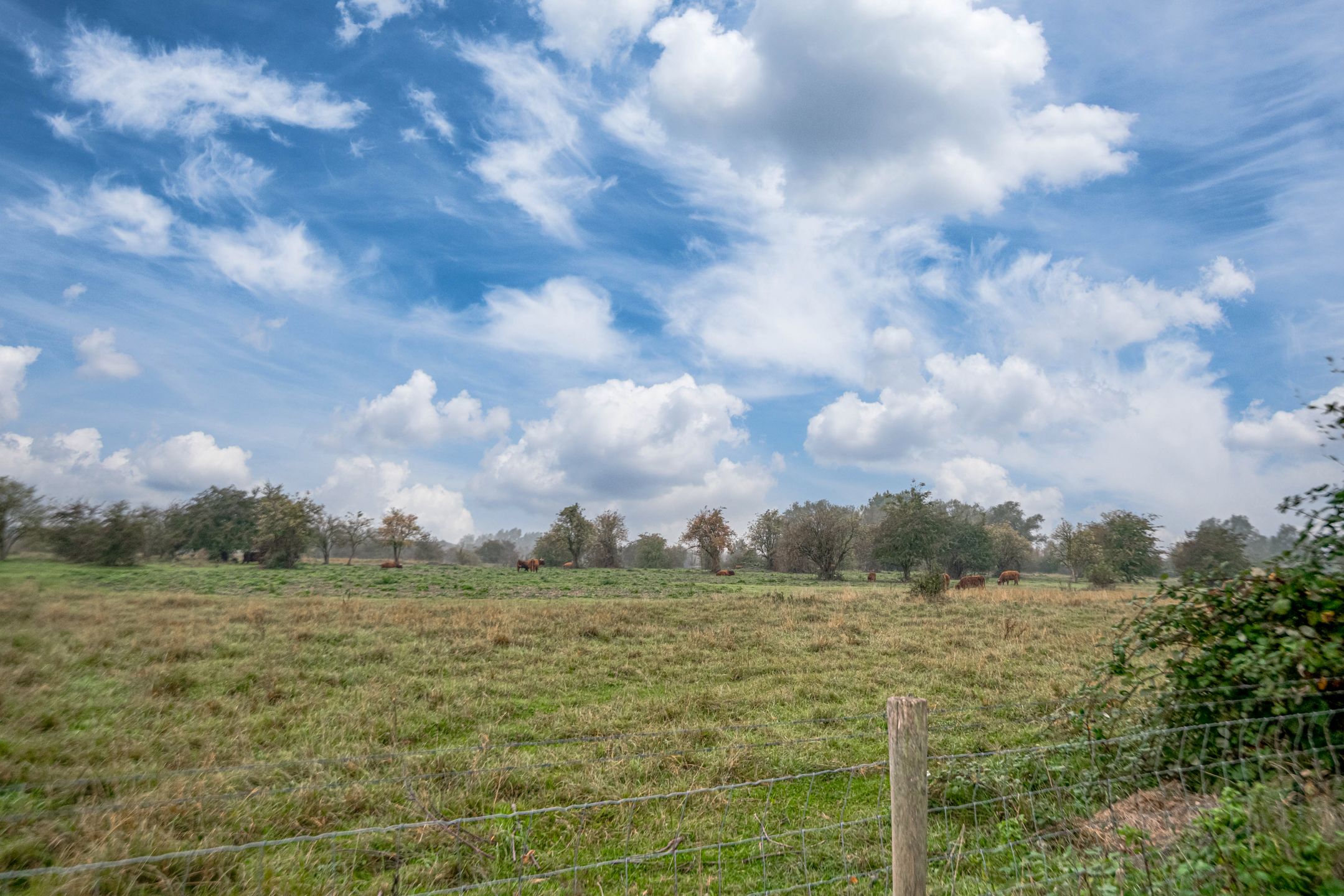 Photo 33 of Dorpsdijk 39-04