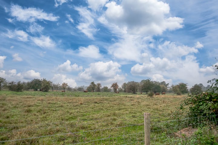 Foto 33 van Dorpsdijk 39-04