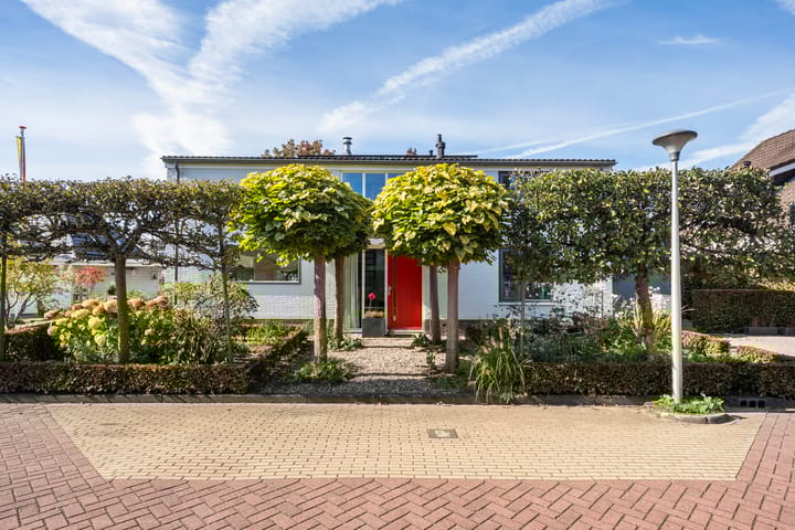 Foto 4 van Ribberserf 14