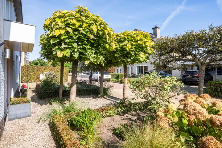 Foto 5 van Ribberserf 14