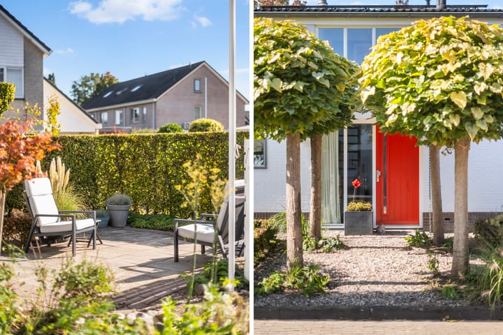 Foto 6 van Ribberserf 14