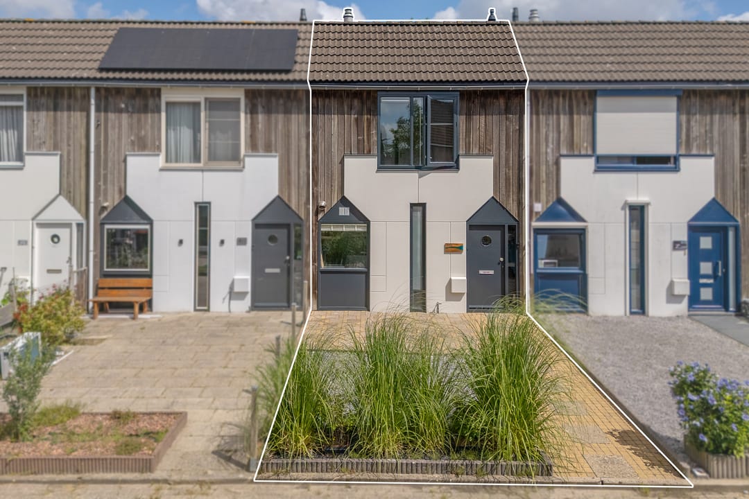 Foto 1 van Kanariesprenk 413