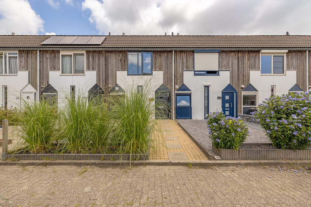 Foto 2 van Kanariesprenk 413