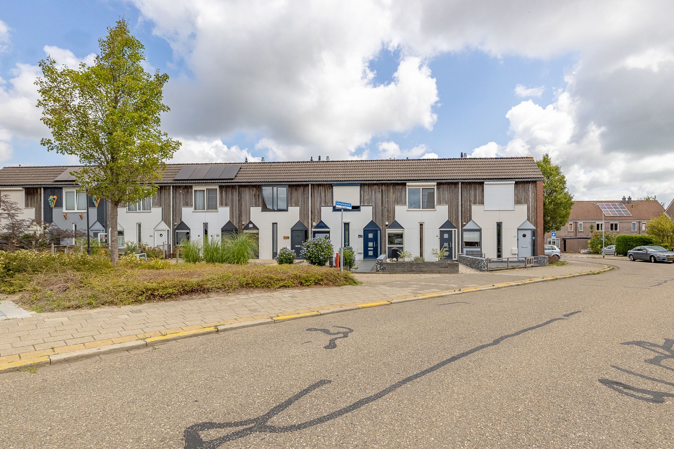 Foto 3 van Kanariesprenk 413