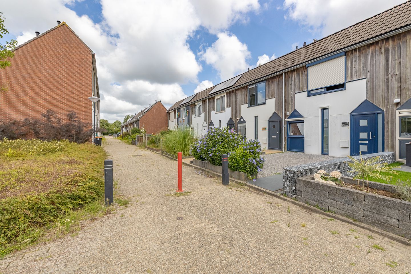 Foto 4 van Kanariesprenk 413