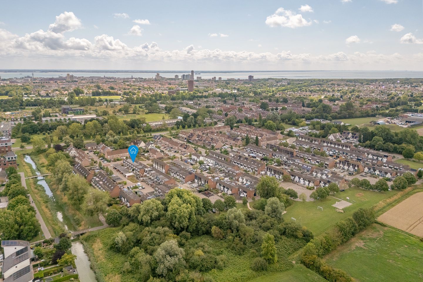 Foto 5 van Kanariesprenk 413