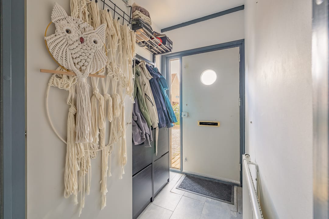 Foto 8 van Kanariesprenk 413