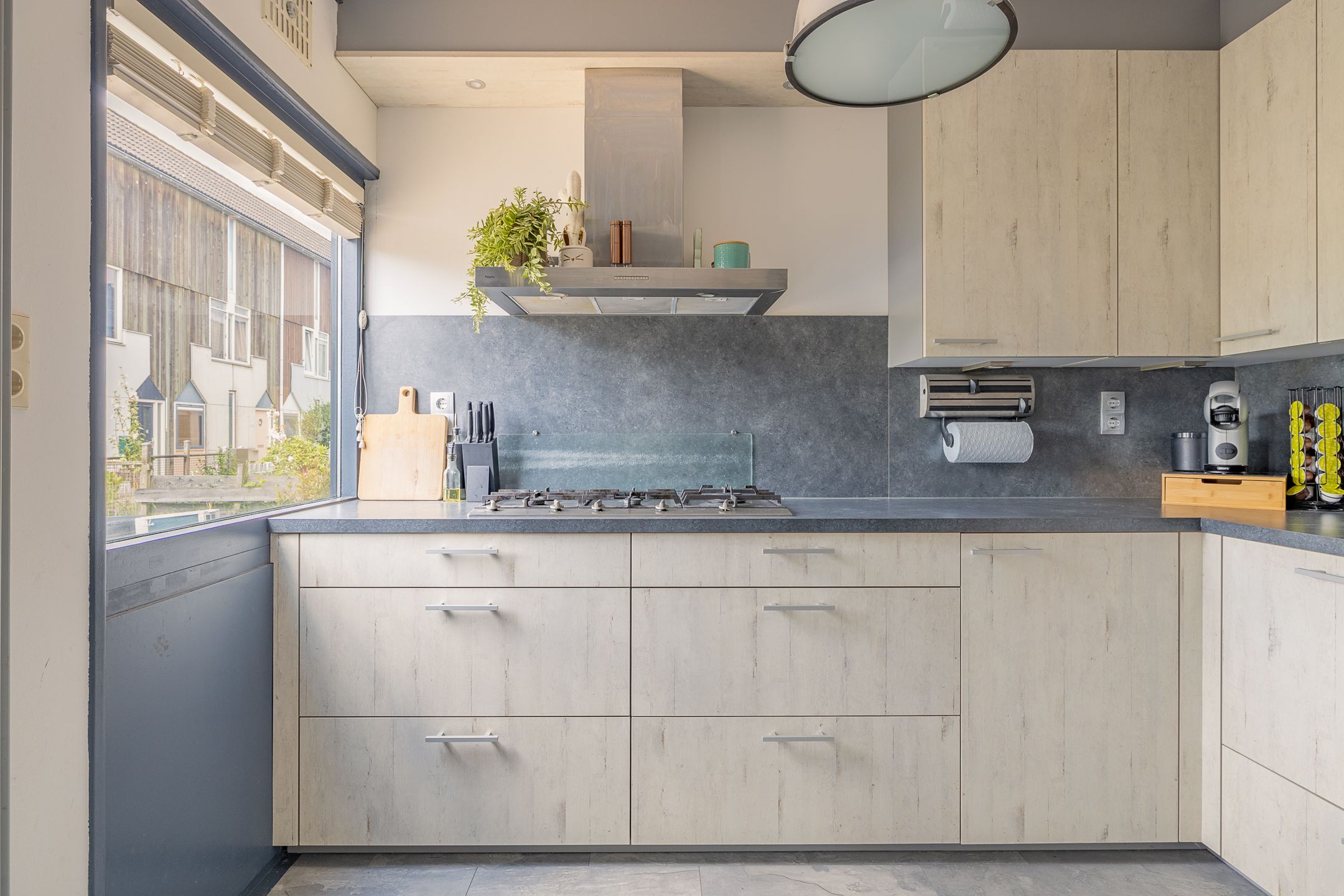 Foto 18 van Kanariesprenk 413