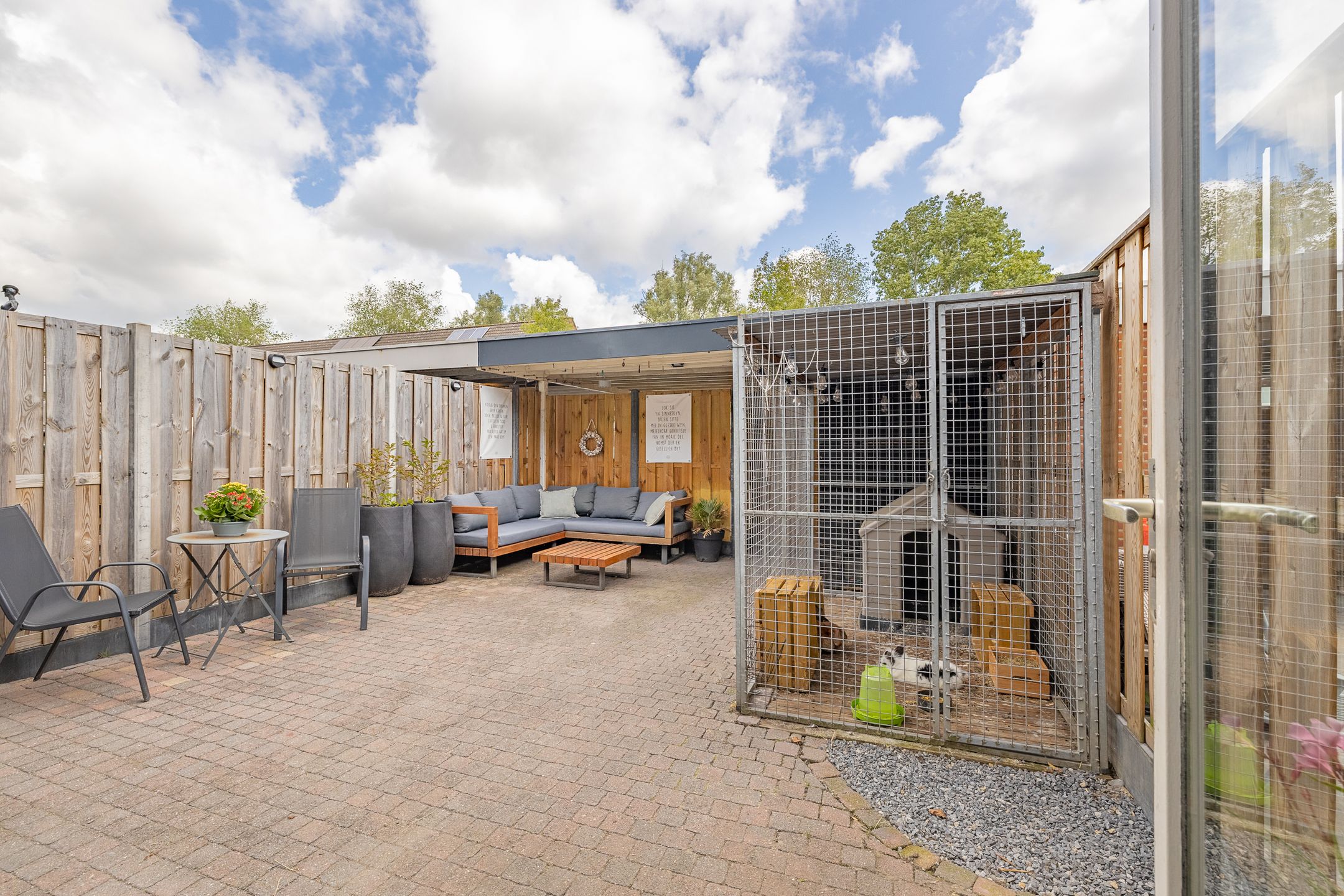 Foto 21 van Kanariesprenk 413