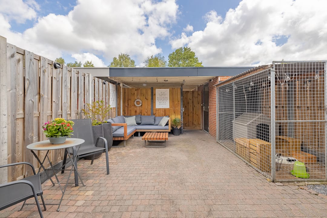 Foto 23 van Kanariesprenk 413