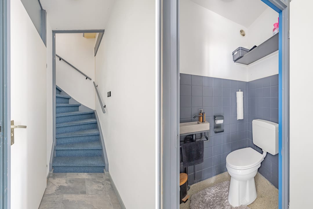 Foto 26 van Kanariesprenk 413