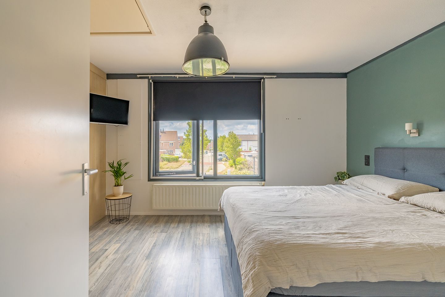 Foto 29 van Kanariesprenk 413