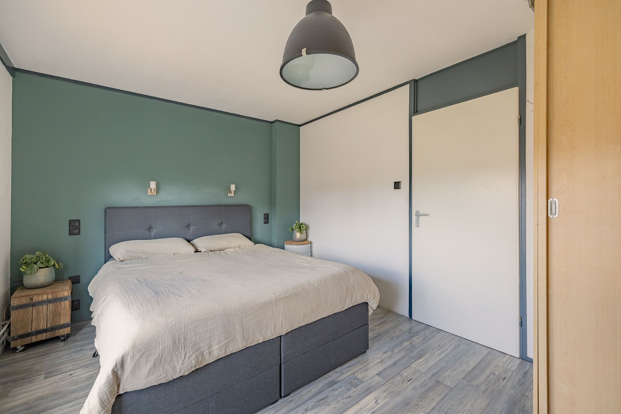 Foto 30 van Kanariesprenk 413