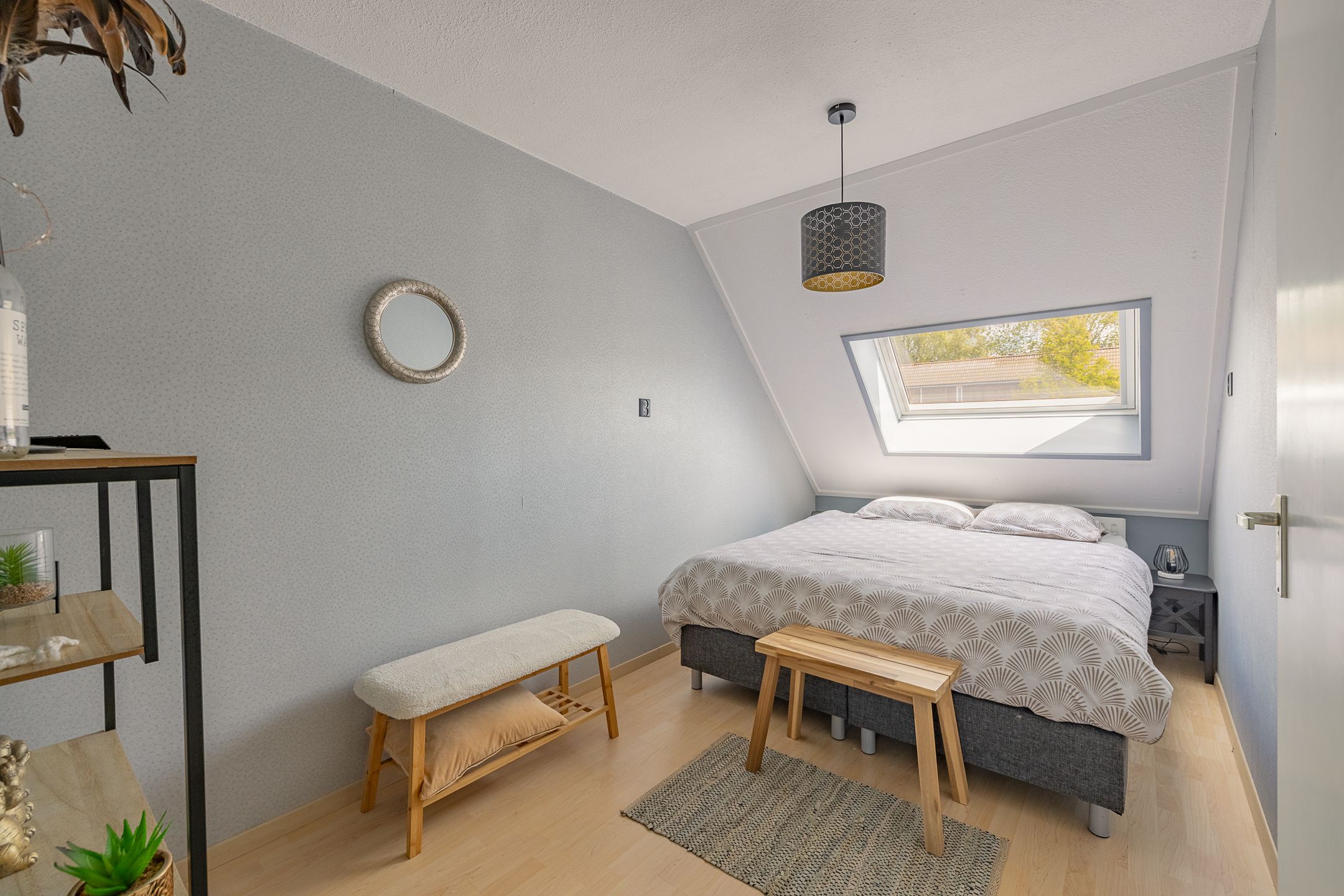 Foto 33 van Kanariesprenk 413