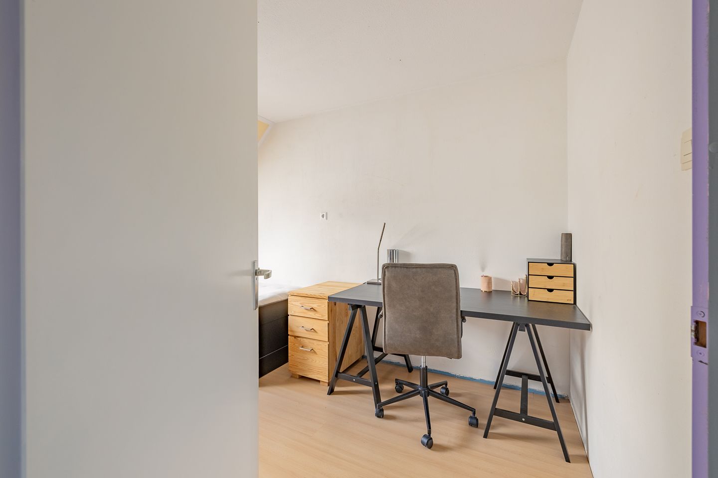 Foto 35 van Kanariesprenk 413