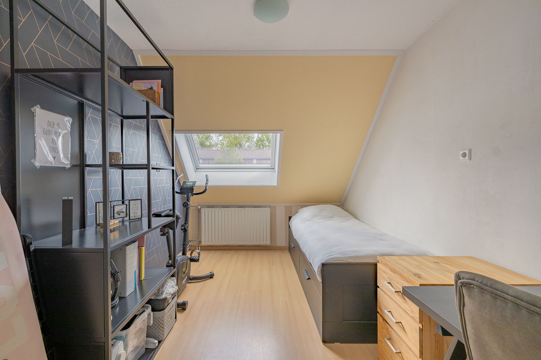 Foto 36 van Kanariesprenk 413