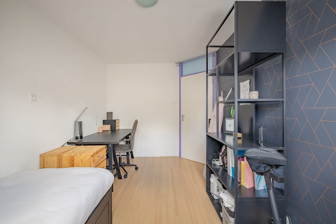 Foto 37 van Kanariesprenk 413