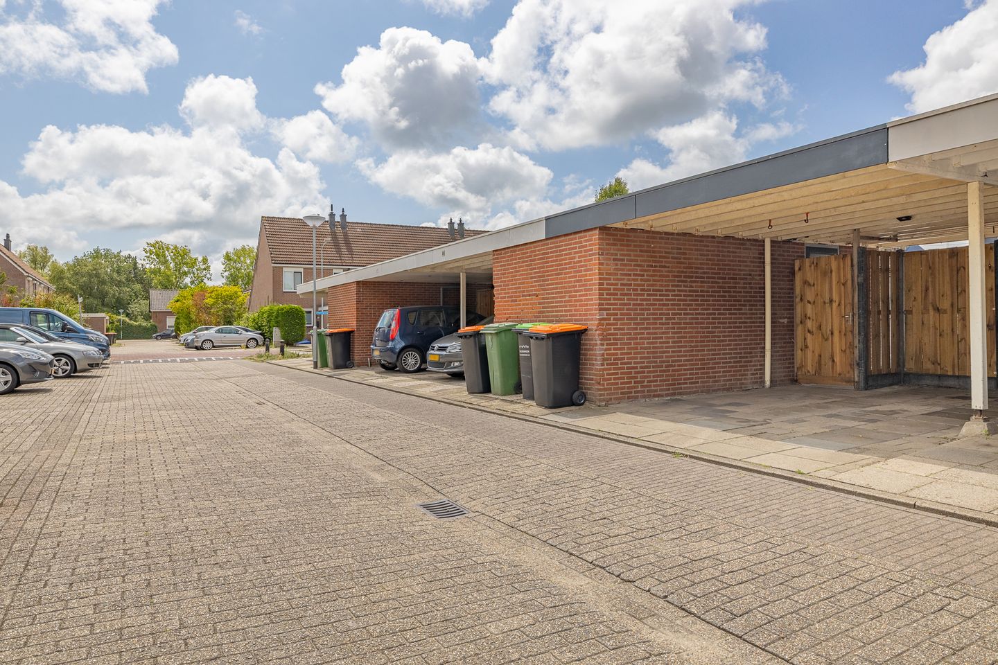 Foto 40 van Kanariesprenk 413