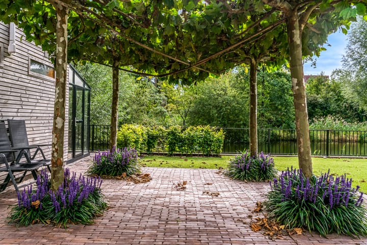 Photo 27 of Daelenbroek 5