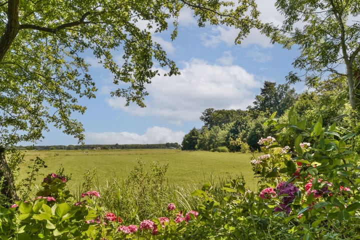 Foto 36 van Elbalaan 22