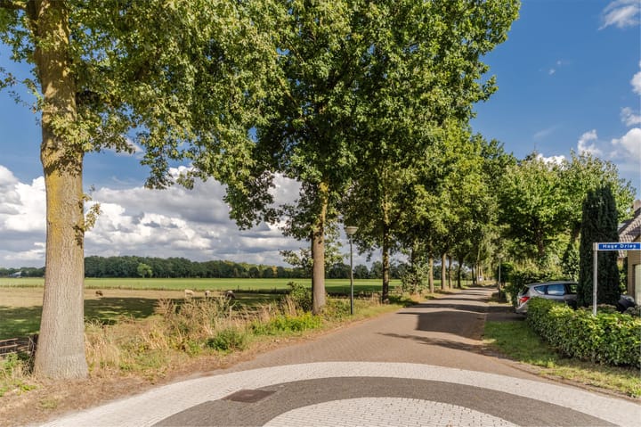 Foto 79 van Hoge Dries 10