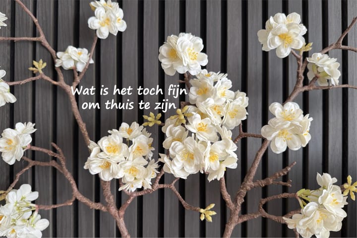 Foto 84 van Hoge Dries 10