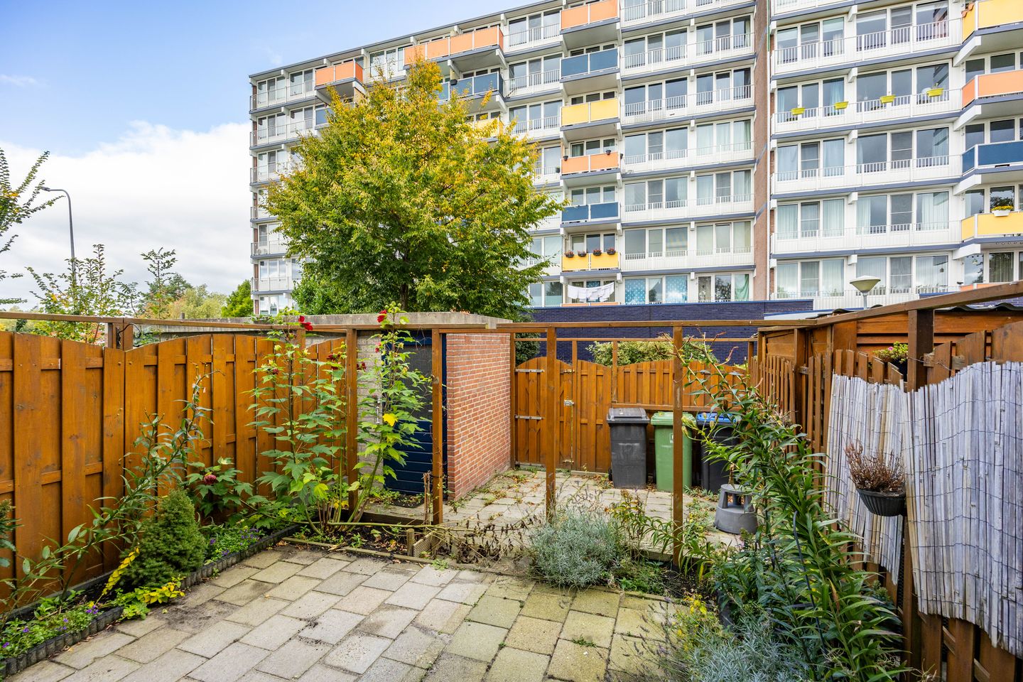 Photo 20 of Sloep 81