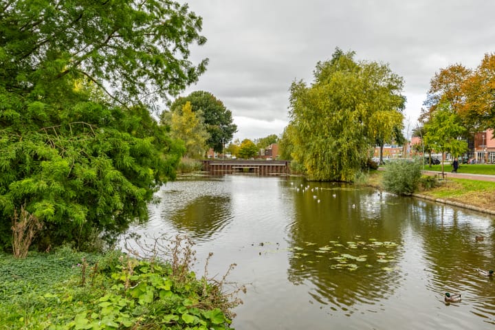 Foto 39 van Sloep 81