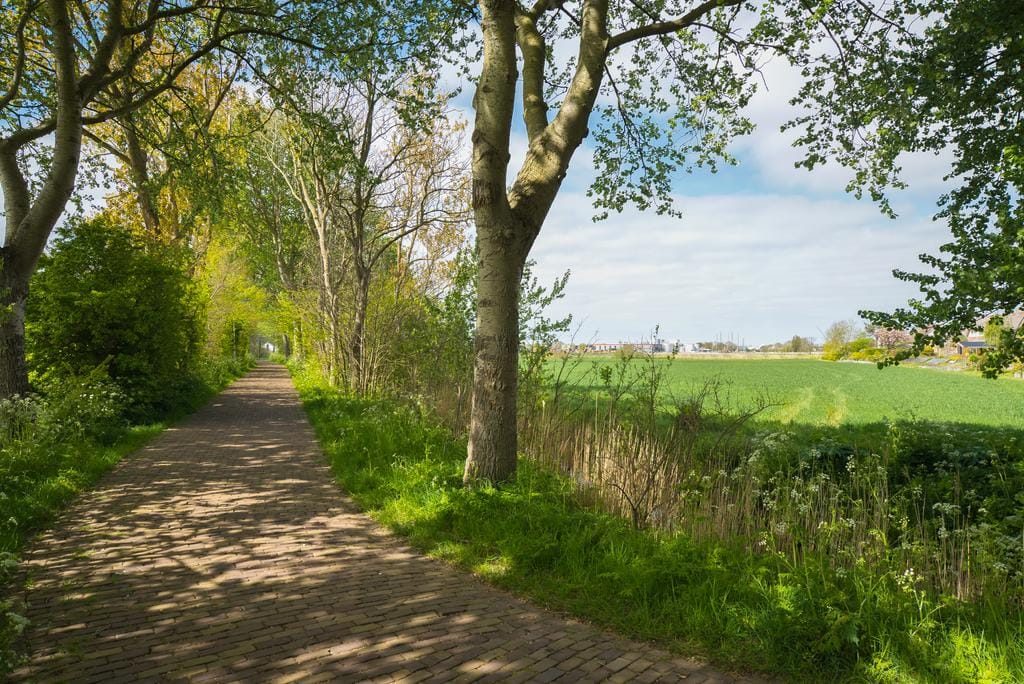 Foto 40 van Hopmansweg 12