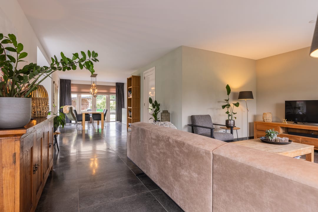 Photo 2 of Watersalamander 41