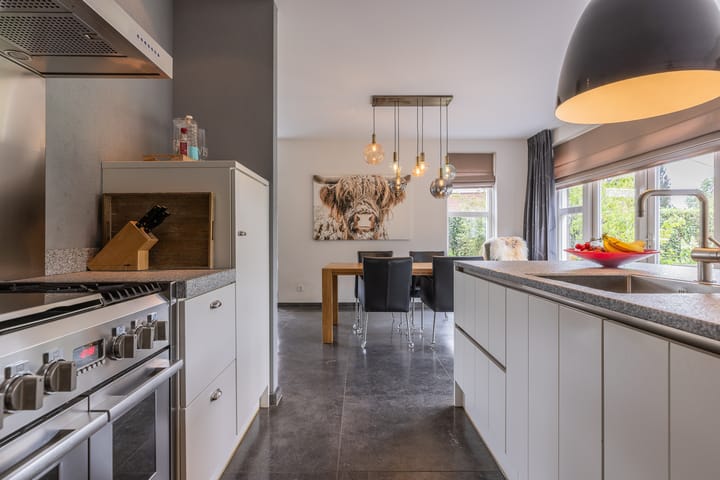 Foto 3 van Watersalamander 41