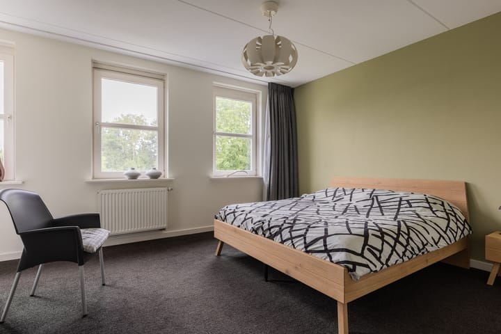 Foto 4 van Watersalamander 41