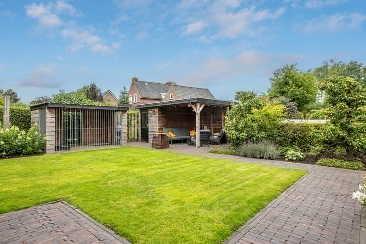 Foto 5 van Watersalamander 41