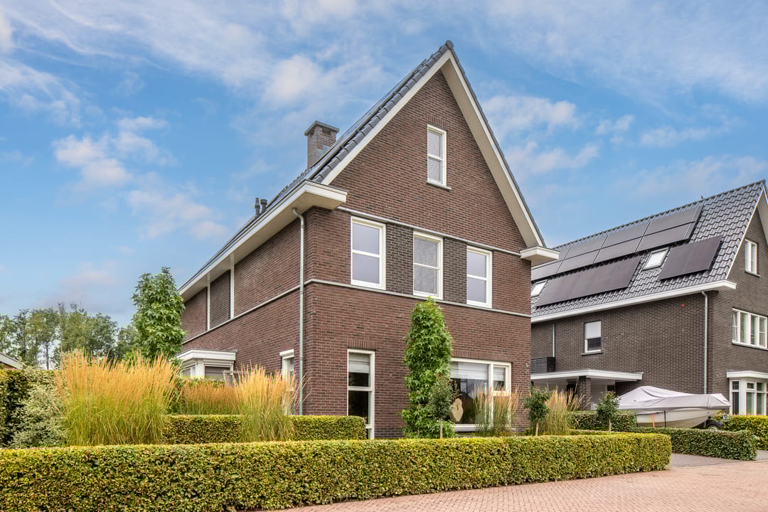 Photo 8 of Watersalamander 41