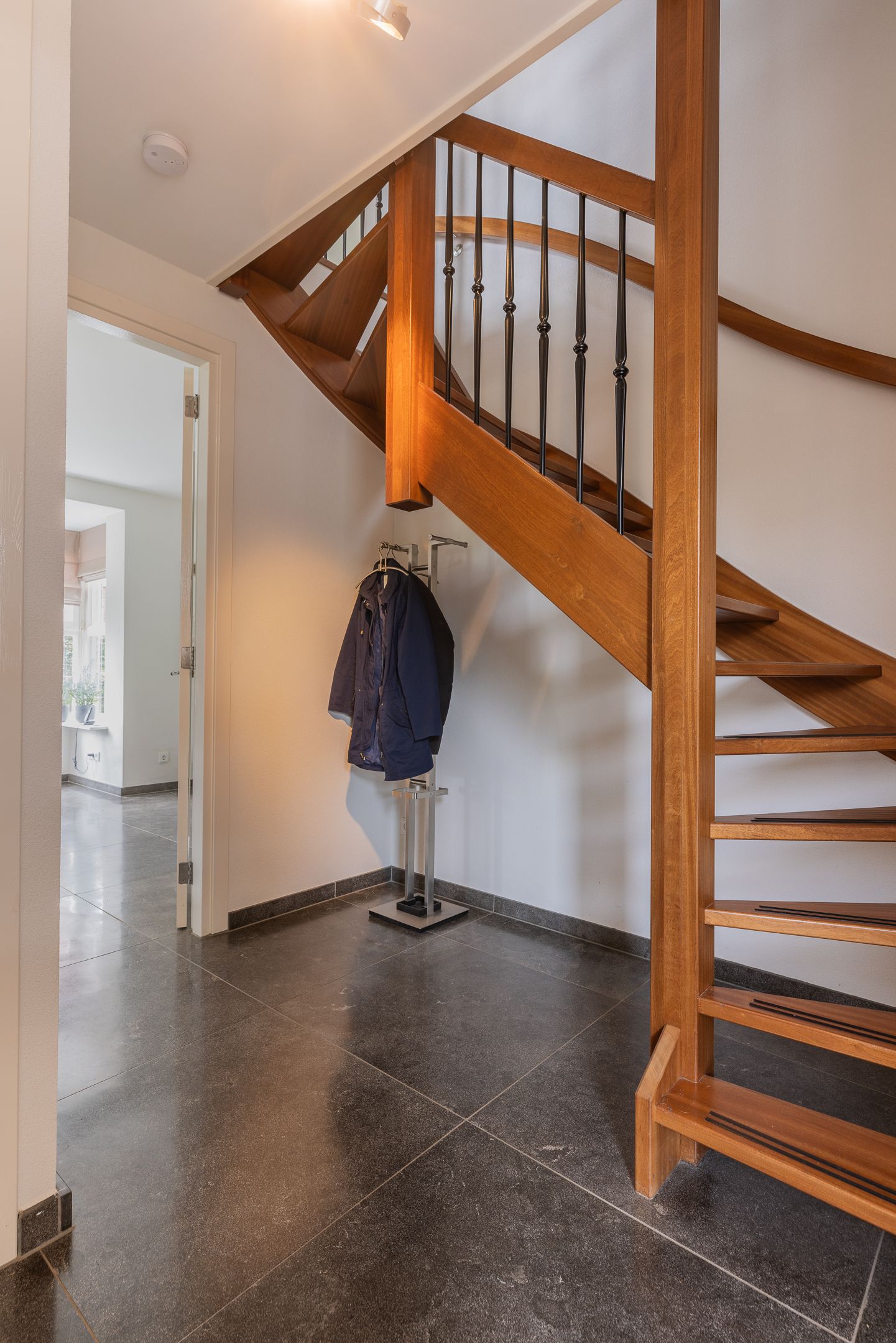 Photo 9 of Watersalamander 41