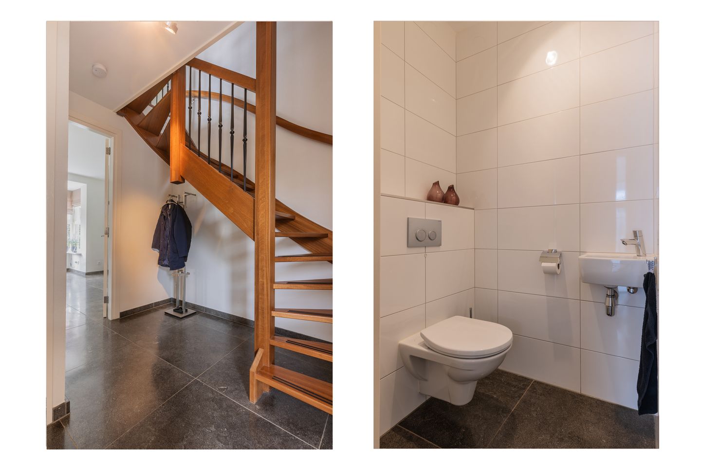 Photo 10 of Watersalamander 41