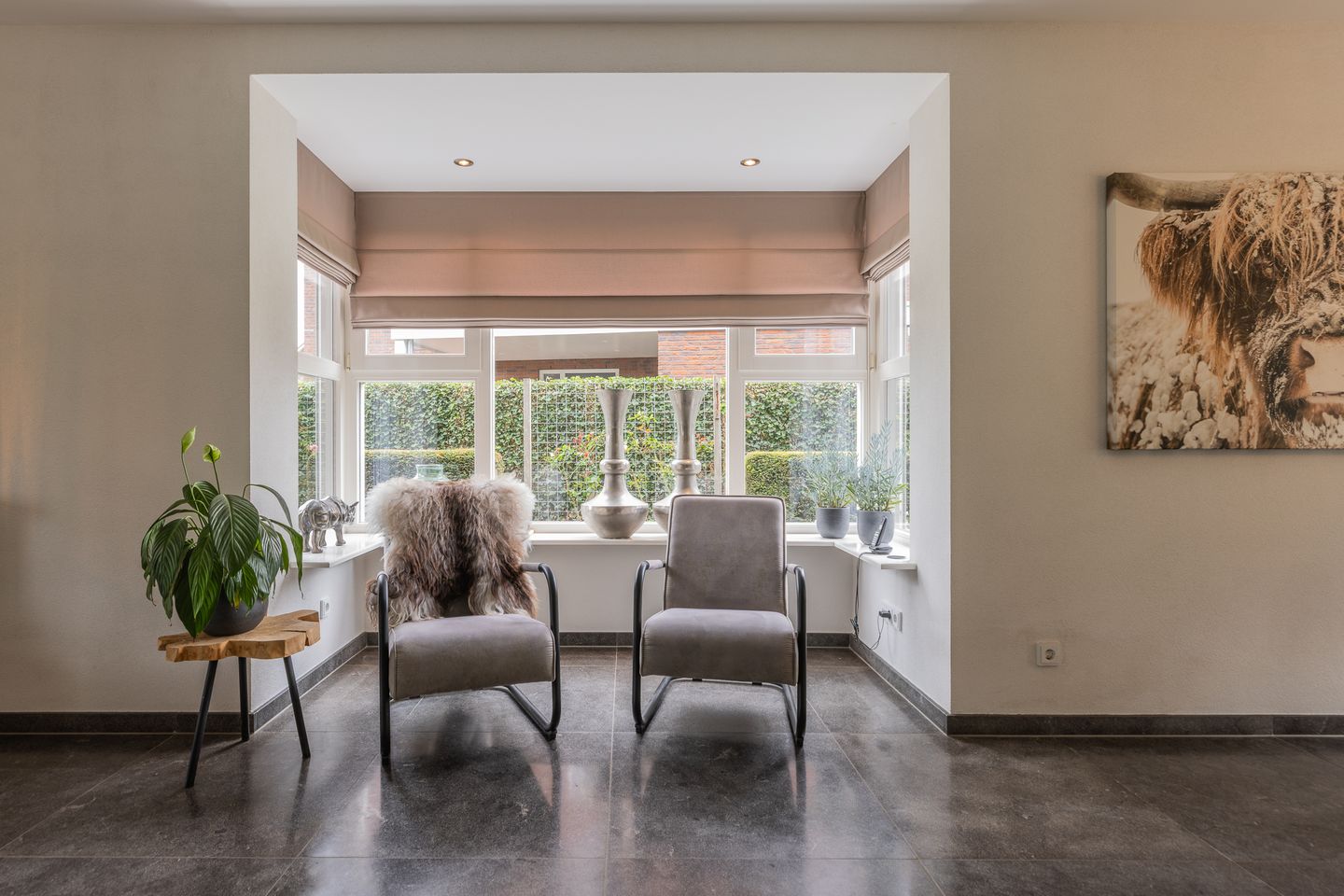 Photo 14 of Watersalamander 41