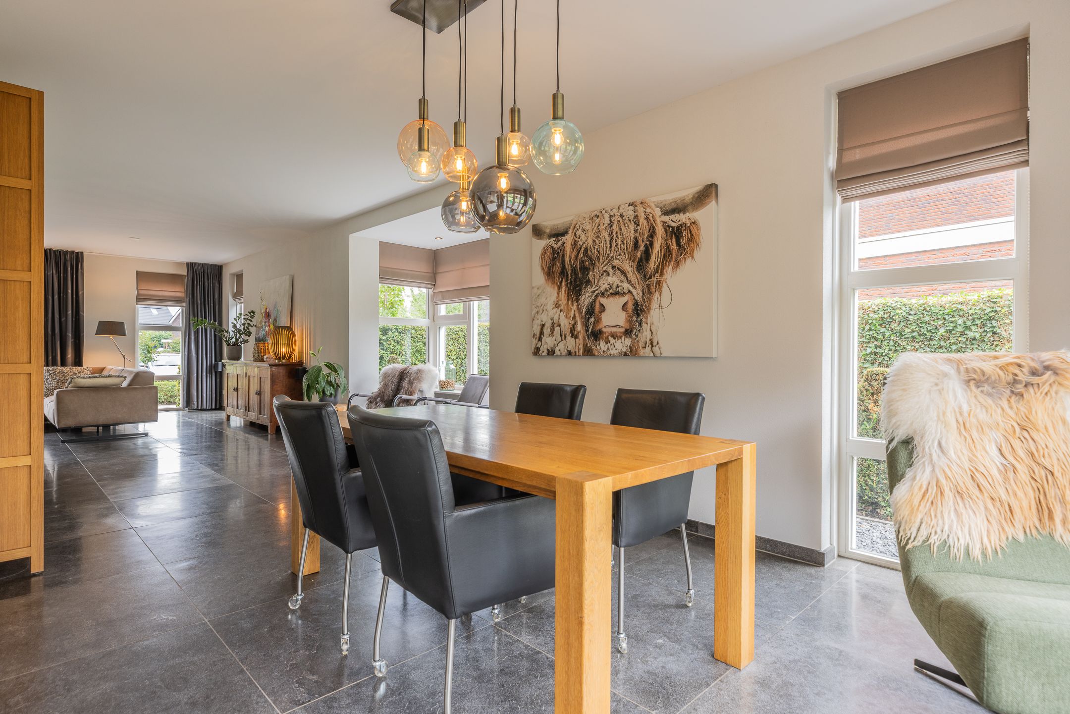 Photo 15 of Watersalamander 41