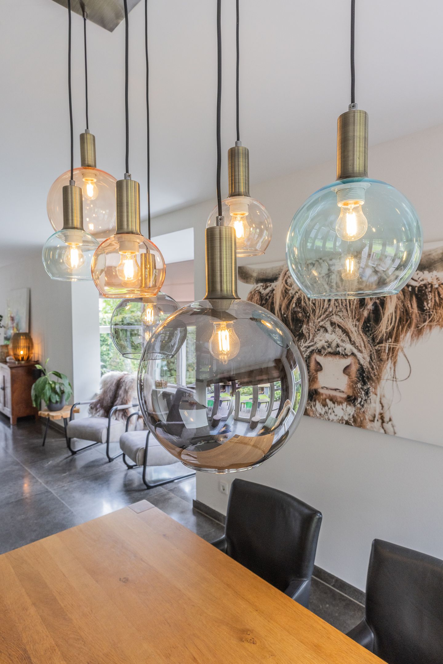 Photo 19 of Watersalamander 41