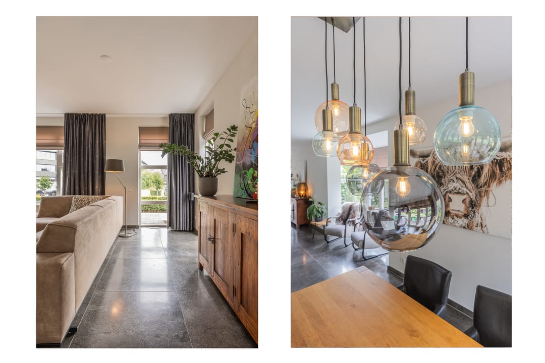 Photo 22 of Watersalamander 41