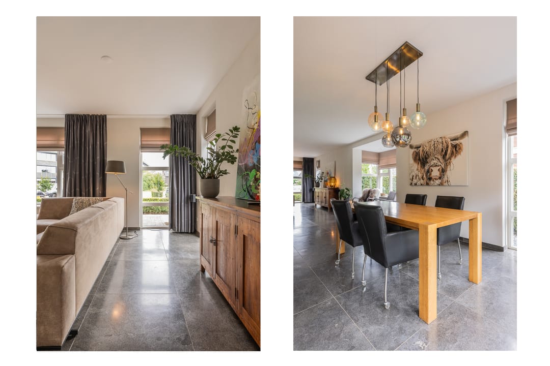 Photo 23 of Watersalamander 41