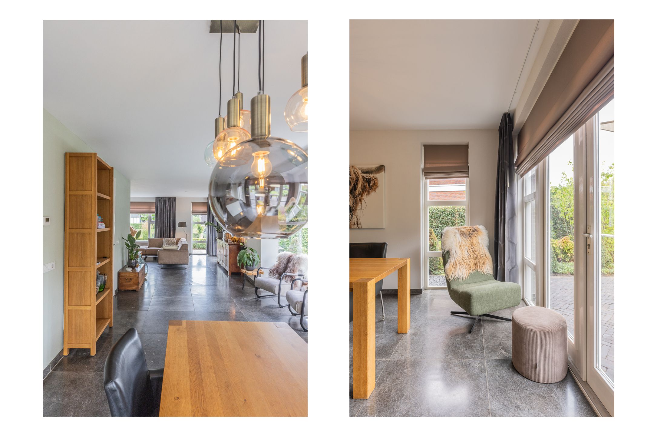 Photo 24 of Watersalamander 41