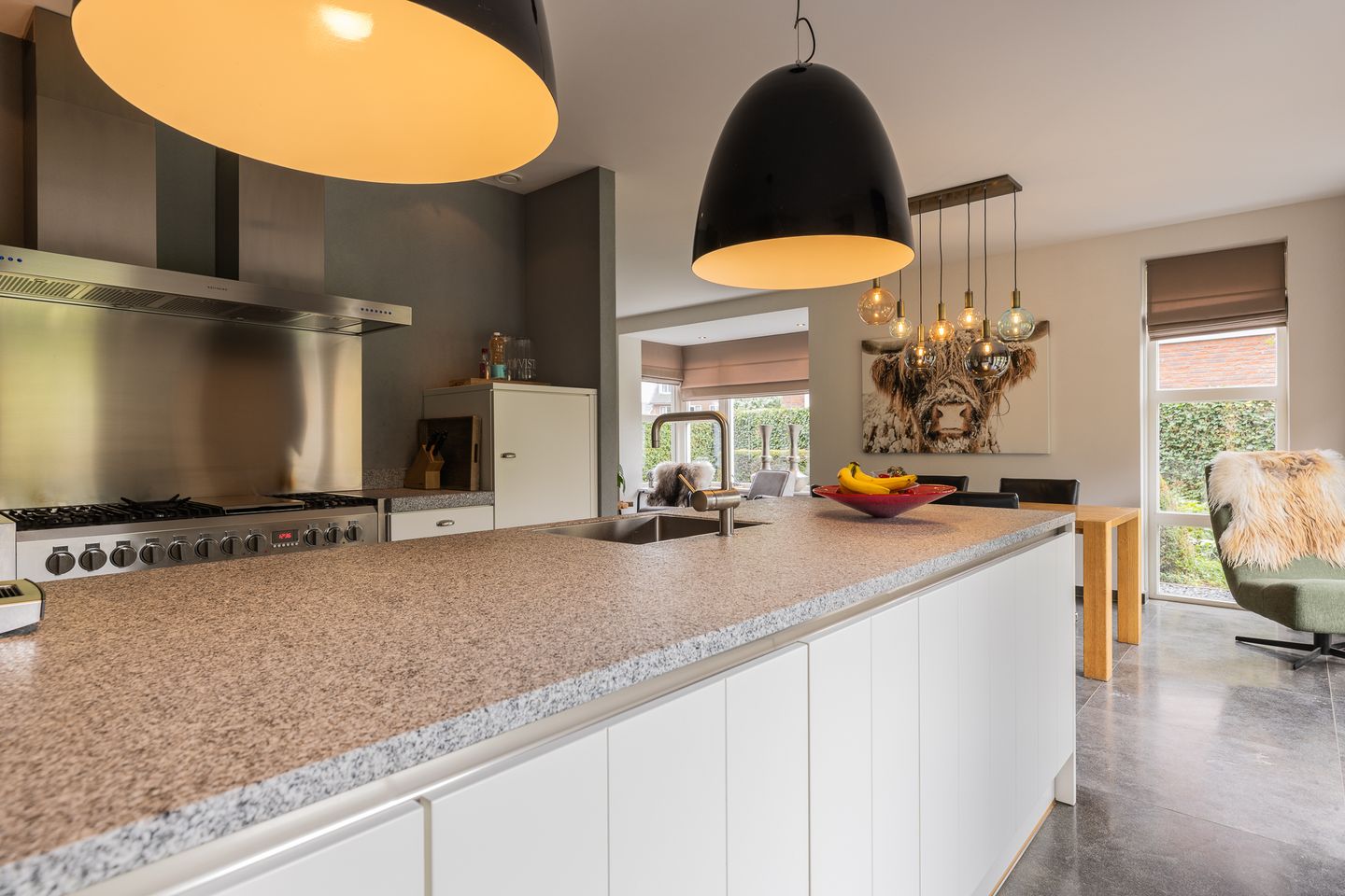 Photo 35 of Watersalamander 41