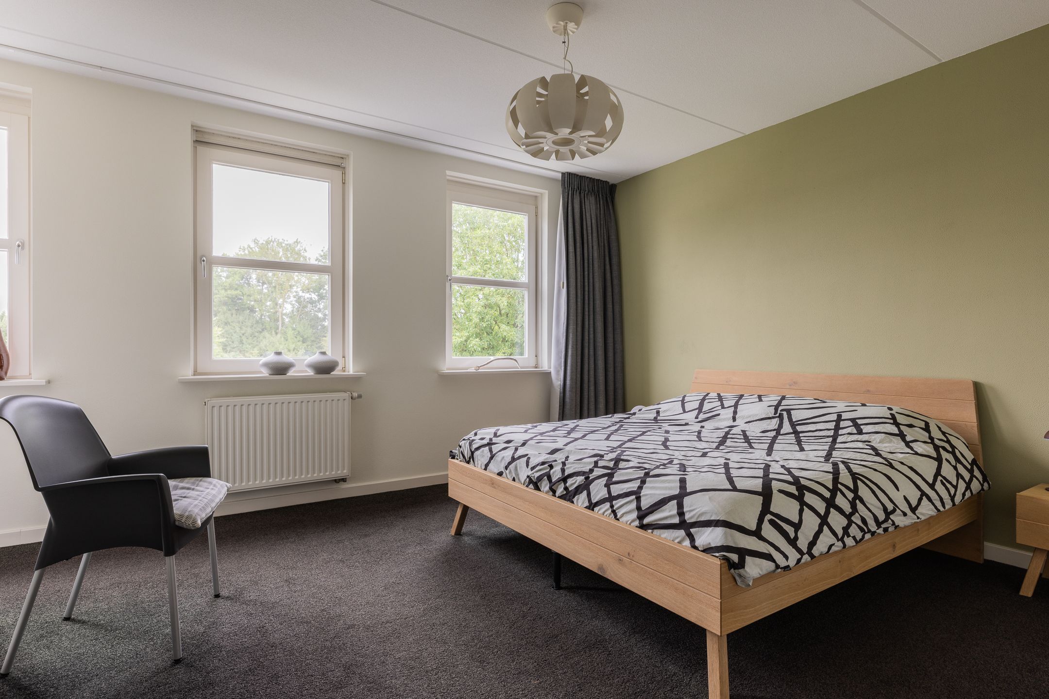 Photo 36 of Watersalamander 41