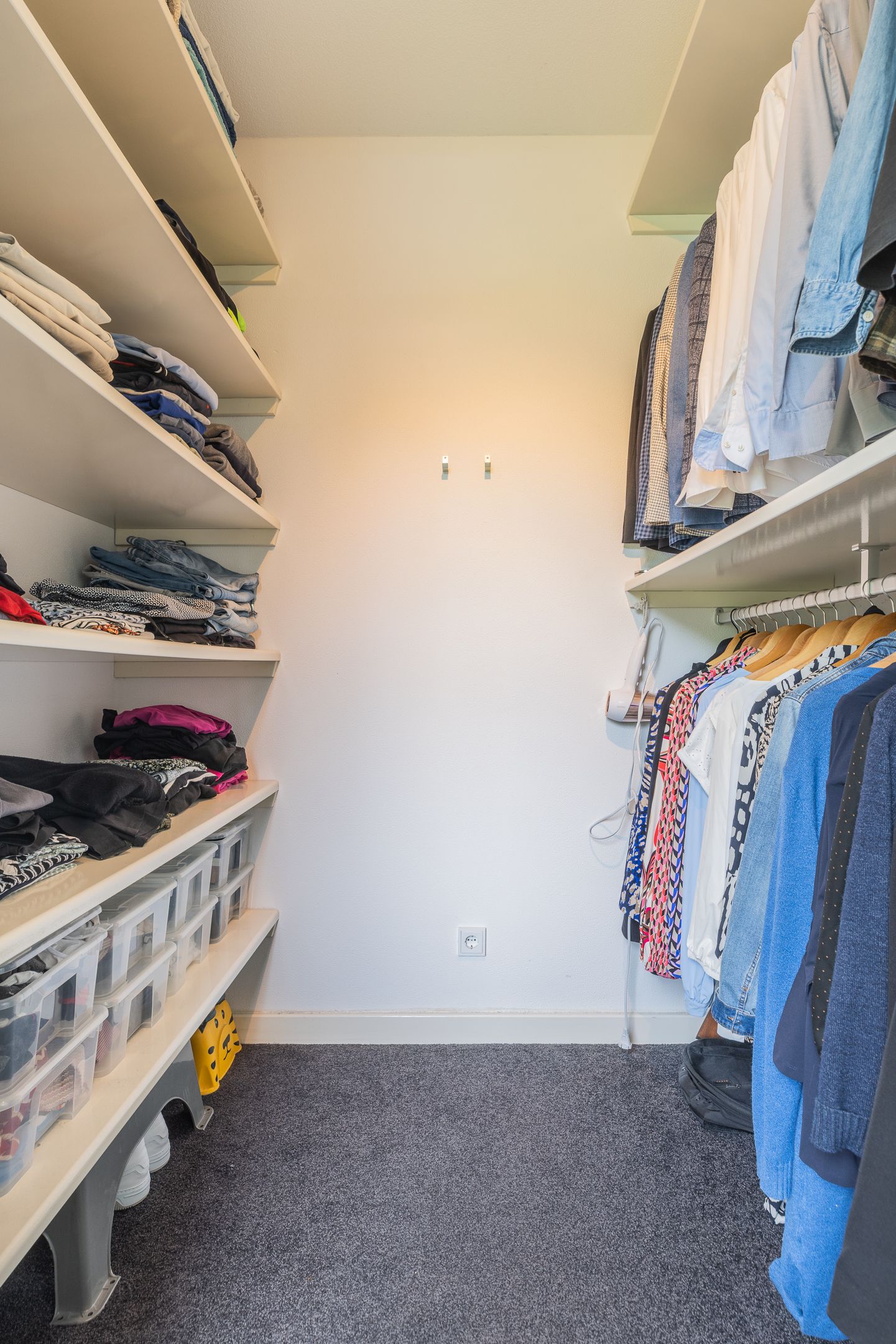 Photo 39 of Watersalamander 41