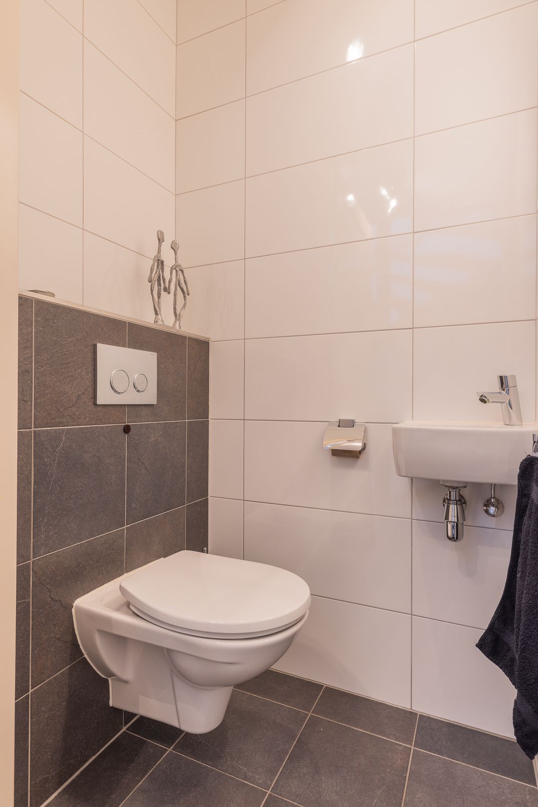 Photo 46 of Watersalamander 41